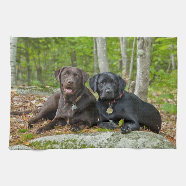Dogs Puppies Black Lab Chocolate Labrador Retrieve Tea Towel (Horizontal)