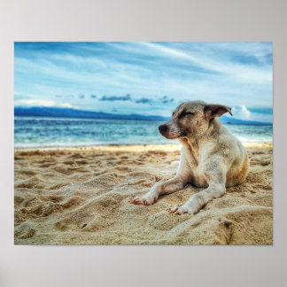Dog's Relaxing Day at the Beach, Ocean Sand & Sun Poster