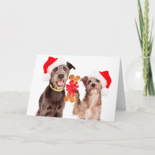 Dogs Sharing HOWLiday cheer Christmas Card