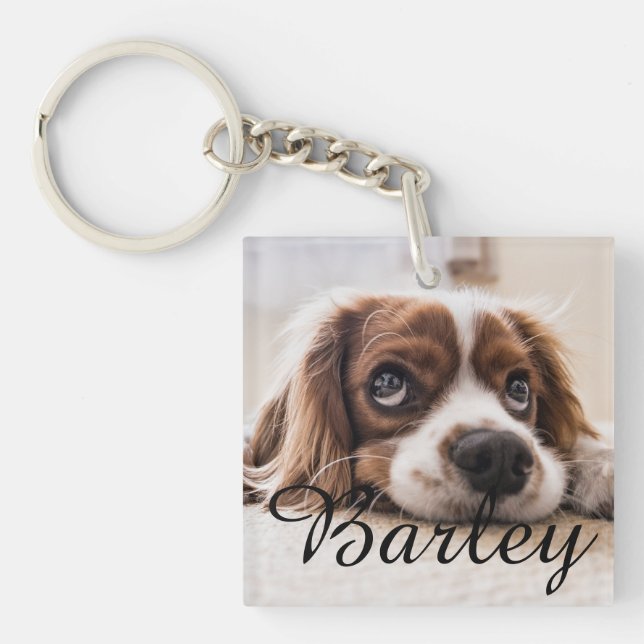 Dog's Simple Modern Elegant Chic Name and Photo  Key Ring (Front)