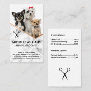 Dogs Sitting Groomer Business Card