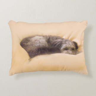 Dog's Sleep (Accent Cushion) Decorative Cushion