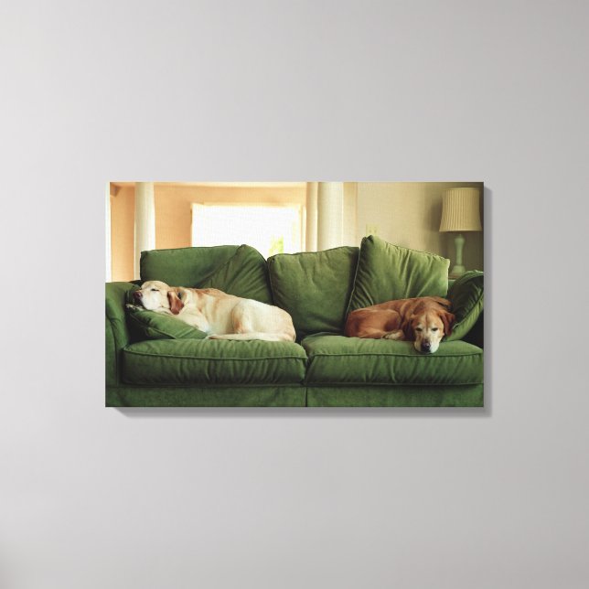 Dogs sleeping on sofa canvas print (Front)