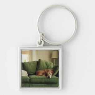 Dogs sleeping on sofa key ring