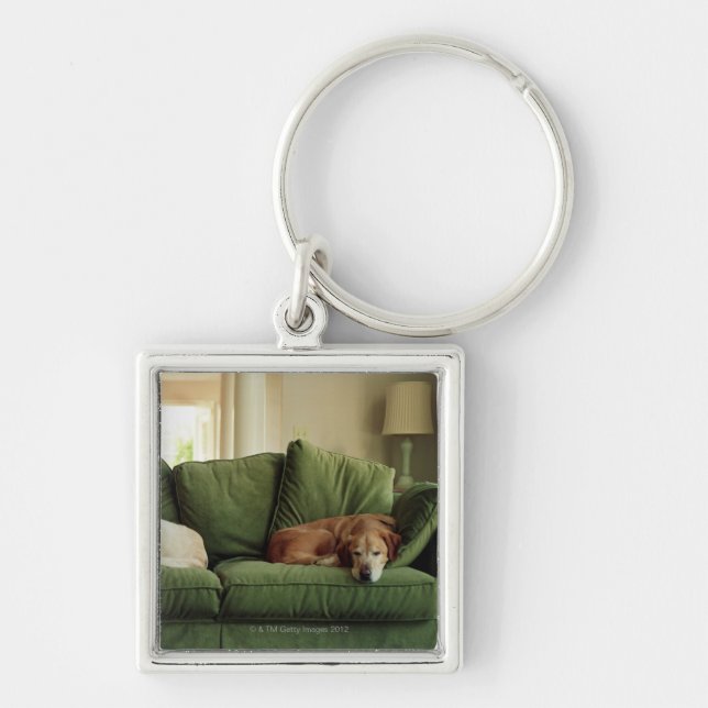 Dogs sleeping on sofa key ring (Front)