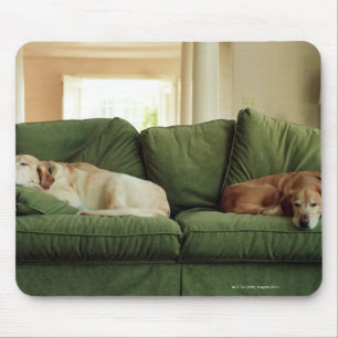 Dogs sleeping on sofa mouse pad