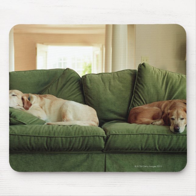 Dogs sleeping on sofa mouse pad (Front)