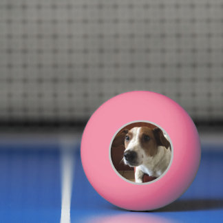 Dogs Tamplate Ping Pong Ball