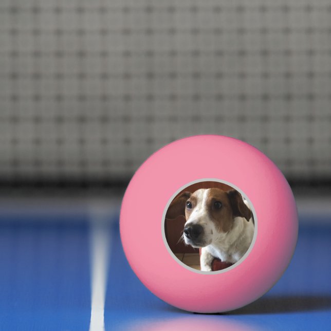 Dogs Tamplate Ping Pong Ball (Net)