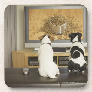 Dogs watching dog dish with food on TV Coaster