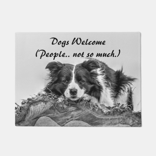 Dogs Welcome Funny Quote Border Collie Doormat (Front)