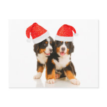 Dogs Wish A Merry Crhistmas