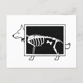 Dog's X-Ray Postcard