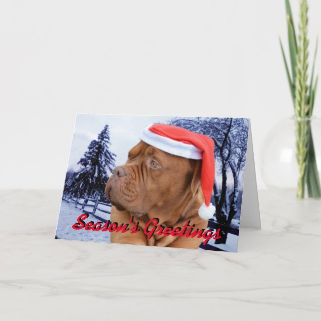 Dogue de Bordeaux Christmas card (Front)