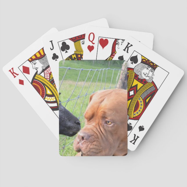 Dogue de Bordeaux Playing Cards (Back)