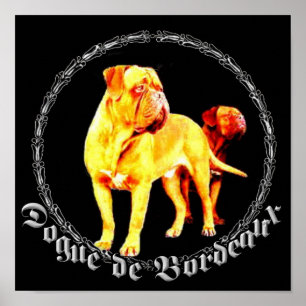 Dogue de Bordeaux poster