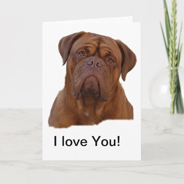 Dogue De Bourdeaux, French mastiff Card (Front)