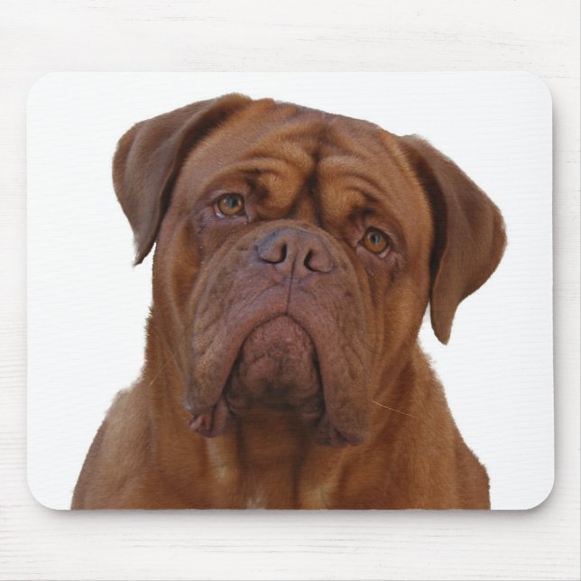 Dogue de Bourdeaux Mouse Pad (Front)