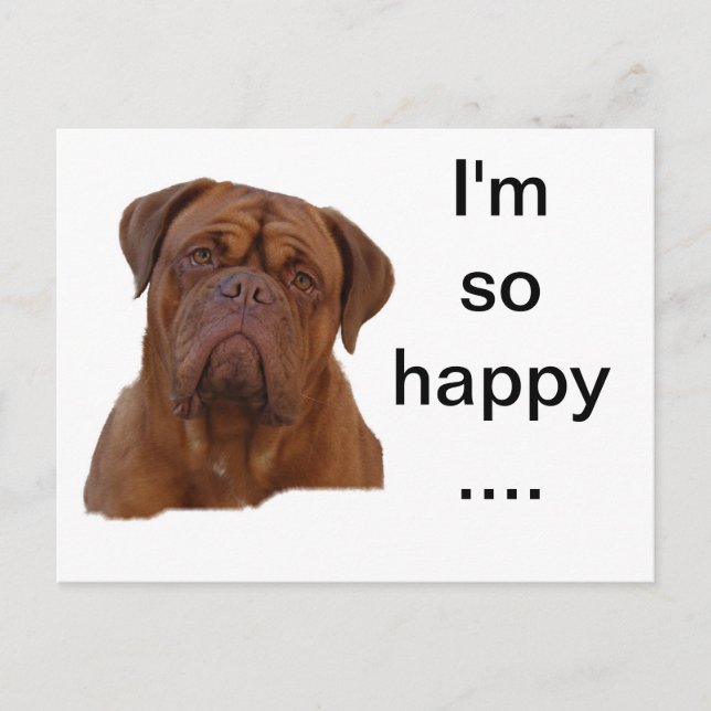 Dogue de Bourdeaux Postcard (Front)
