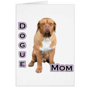 Dogue Mum 4