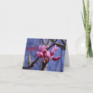 Dogwood Blossom Blank Greeting Card