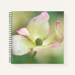 Dogwood Blossom Cornus Kousa 'Miss Satomi' Notebook