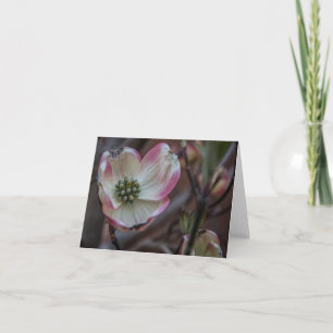 Dogwood Blossom Notecard