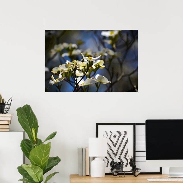Dogwood Blossom,  Poster (Home Office)
