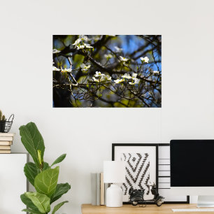 Dogwood Blossom, Poster