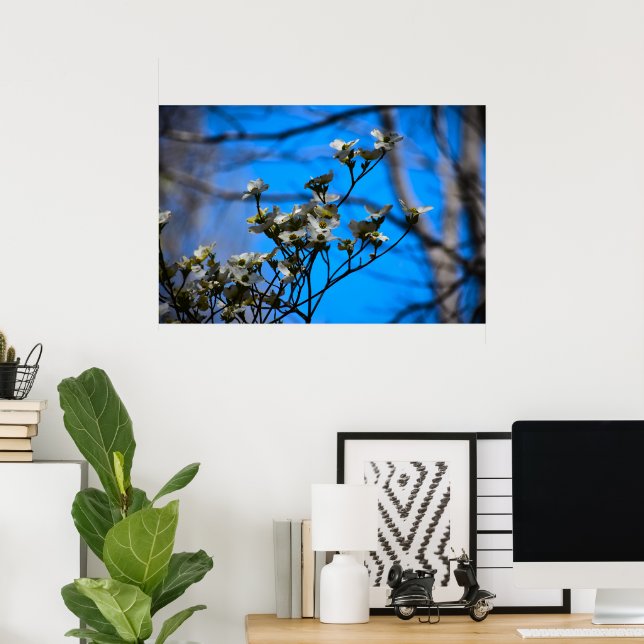 Dogwood Blossom,  Poster (Home Office)