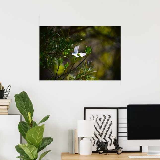 Dogwood Blossom,  Poster (Home Office)