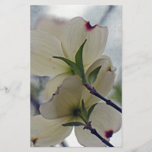Dogwood Blossoms Stationery