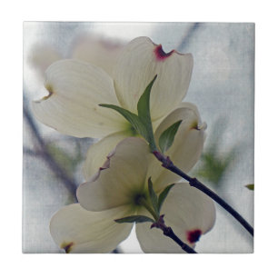 Dogwood Blossoms Tile