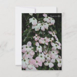 Dogwood  card
