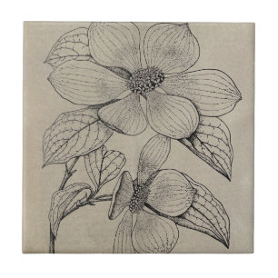Dogwood Ceramic Tile