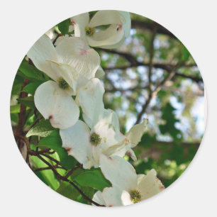 Dogwood Classic Round Sticker