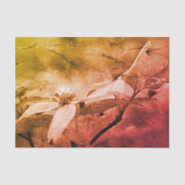 Dogwood Flower Black White Vintage Decoupage Tissue Paper (Front)