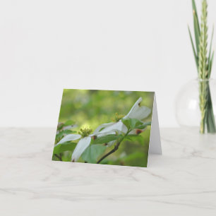Dogwood Flower Blossoms Personalised Note Card