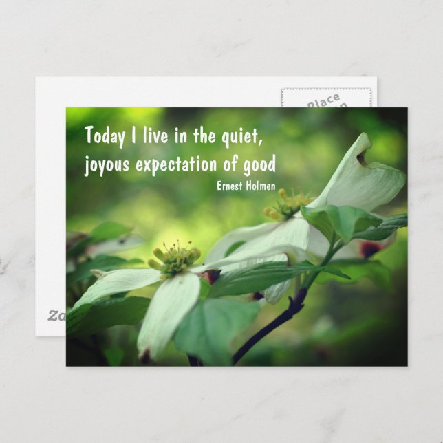 Dogwood Flower Goodness Quote Postcard (Front/Back)
