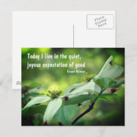 Dogwood Flower Goodness Quote Postcard