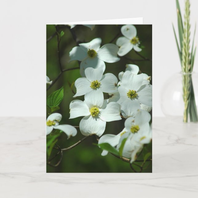 Dogwood Flowers Greeting Card (Front)