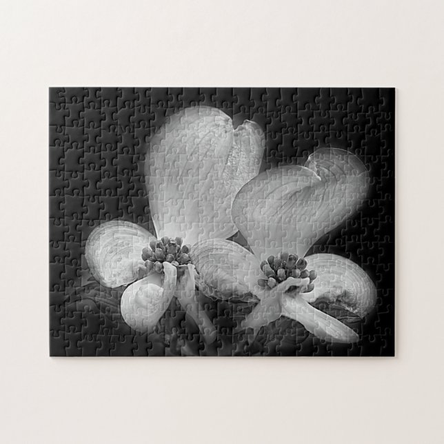 Dogwood Flowers In Black And White Nature Jigsaw Puzzle (Horizontal)