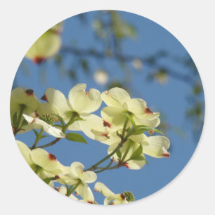 Dogwood Flowers stickers Blue Sky Floral stickers