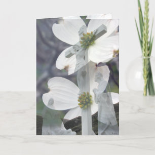 Dogwood Greetings Card