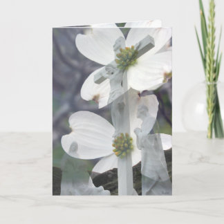 Dogwood Greetings Card