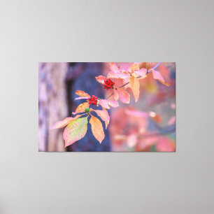 Dogwood in Autumn Canvas Print