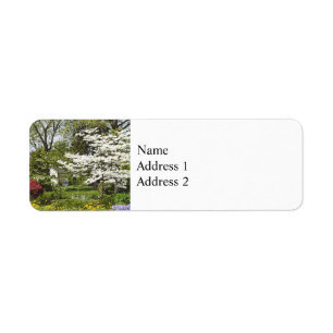 Dogwood in Bloom