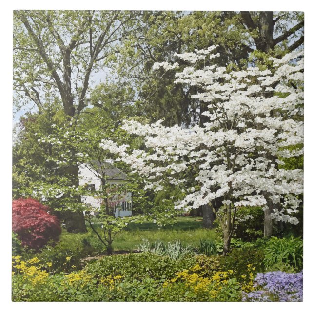 Dogwood in Bloom Tile (Front)