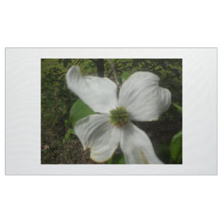 Dogwood In Spring Fabric