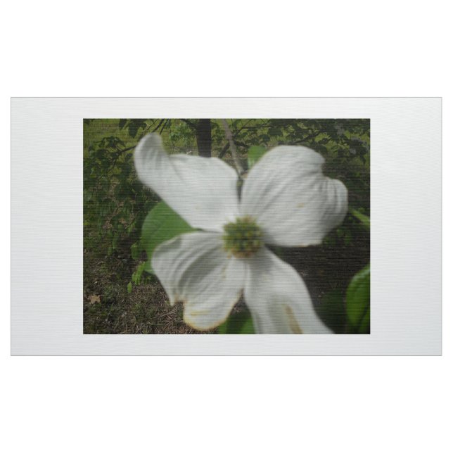 Dogwood In Spring Fabric (Yard)